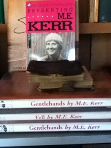 I just enjoy seeing stacks of books by M. E. Kerr.